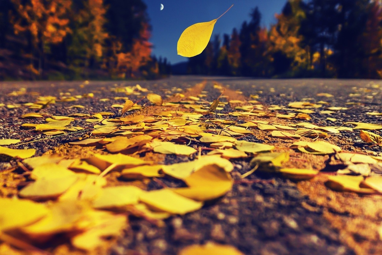 Herbstlaub ©pixabay.com